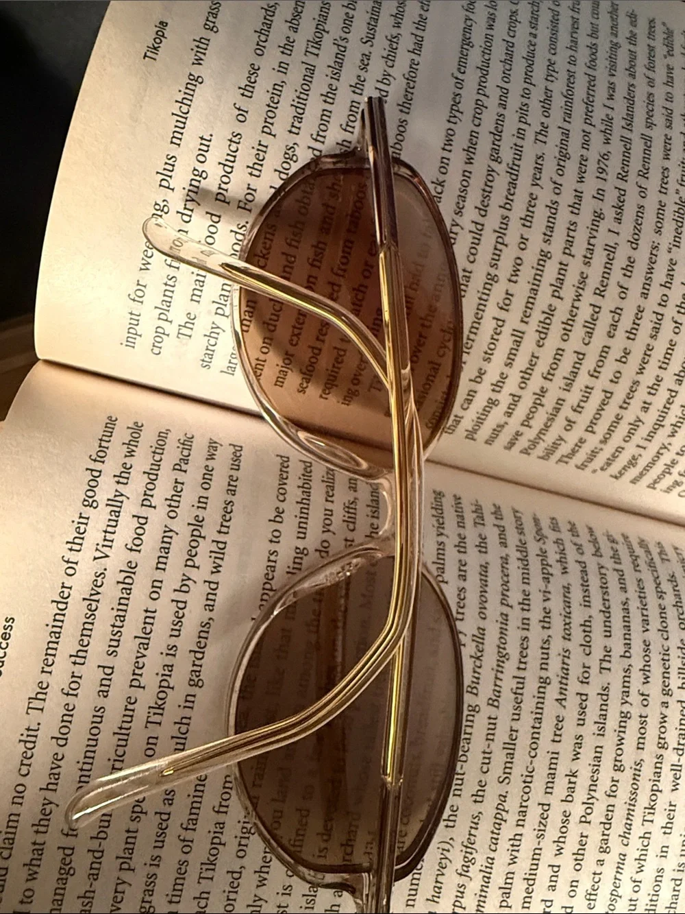 Sillouette   Sunglasses